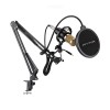 Микрофон стационарный VARIUM MF-101 Pro
